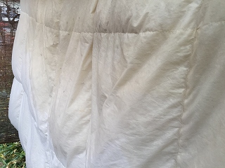 f:id:gyuuhomura:20191229005108j:plain f:id:gyuuhomura:20191229005108j:plain