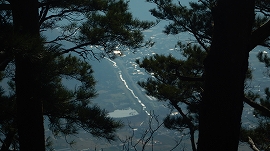 f:id:gyuuhomura:20191230122148j:plain