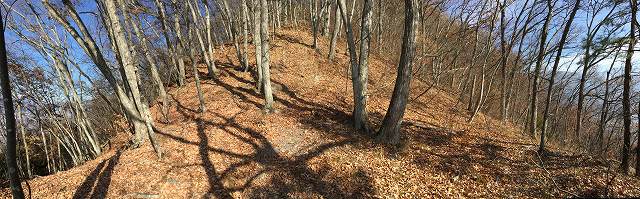 f:id:gyuuhomura:20191230122306j:plain