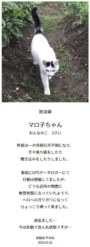 f:id:gyuuhomura:20200104104110p:plain f:id:gyuuhomura:20200104104110p:plain
