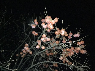 f:id:gyuuhomura:20200107013312j:plain f:id:gyuuhomura:20200107013312j:plain