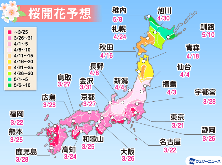 f:id:gyuuhomura:20200222112024p:plain f:id:gyuuhomura:20200222112024p:plain