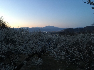 f:id:gyuuhomura:20200314231046j:plain f:id:gyuuhomura:20200314231046j:plain