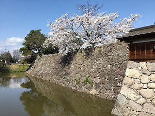 f:id:gyuuhomura:20200409225947j:plain f:id:gyuuhomura:20200409225947j:plain