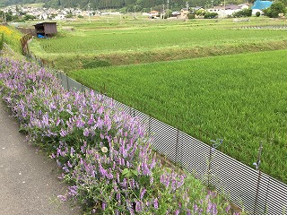 f:id:gyuuhomura:20200607123352j:plain f:id:gyuuhomura:20200607123352j:plain