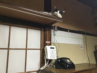 f:id:gyuuhomura:20200817010507j:plain f:id:gyuuhomura:20200817010507j:plain