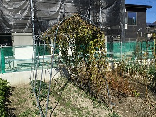 f:id:gyuuhomura:20201116011926j:plain f:id:gyuuhomura:20201116011926j:plain