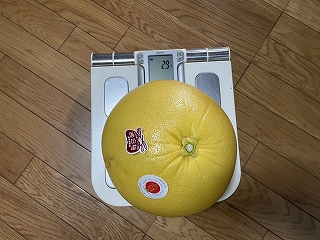 f:id:gyuuhomura:20211221120843j:plain