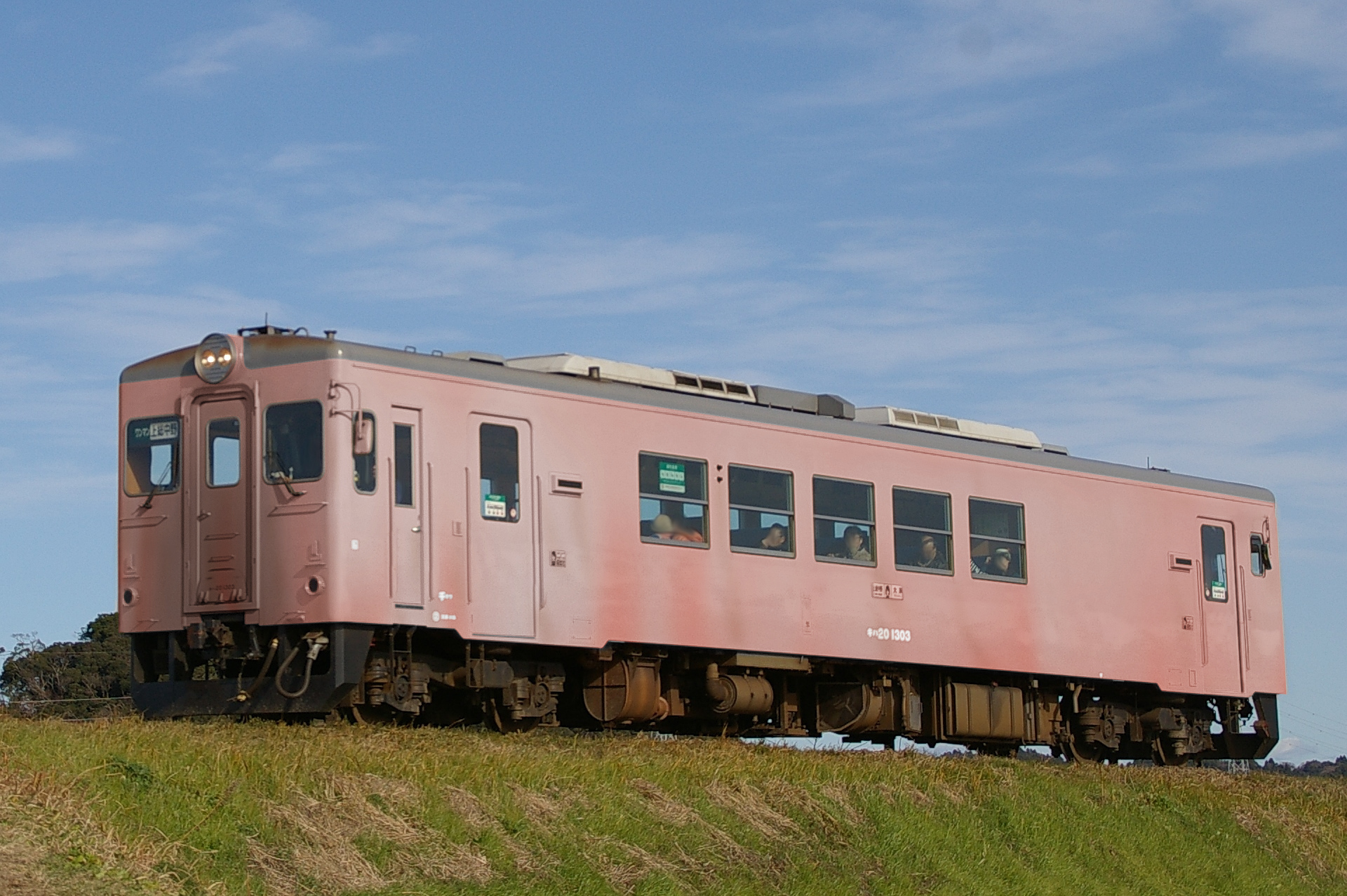 ウソ電 いすみ鉄道キハ 焼きタラコ仕様 東海道 山陽三十五次