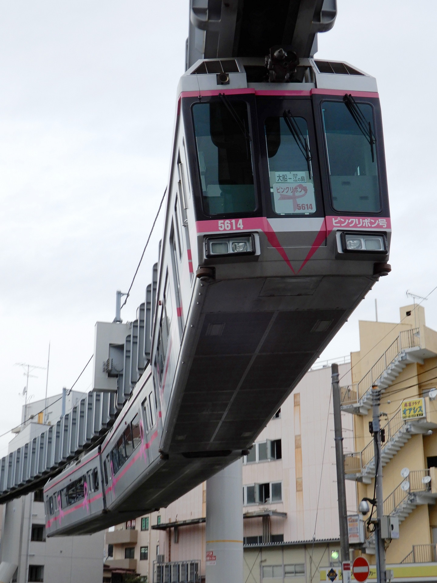 5613編成ピンクリボン号