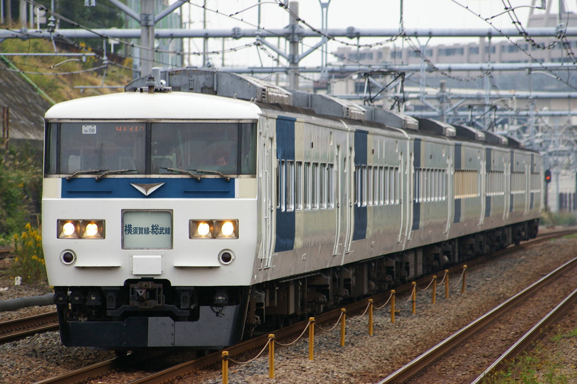 185系湘南色 湘南色となった185系OM03編成が営業運転を開始｜鉄道ニュース