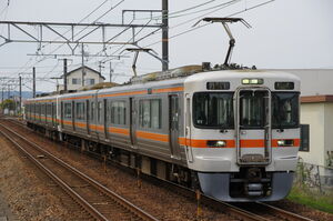 六合駅で撮影した313系(W2編成)
