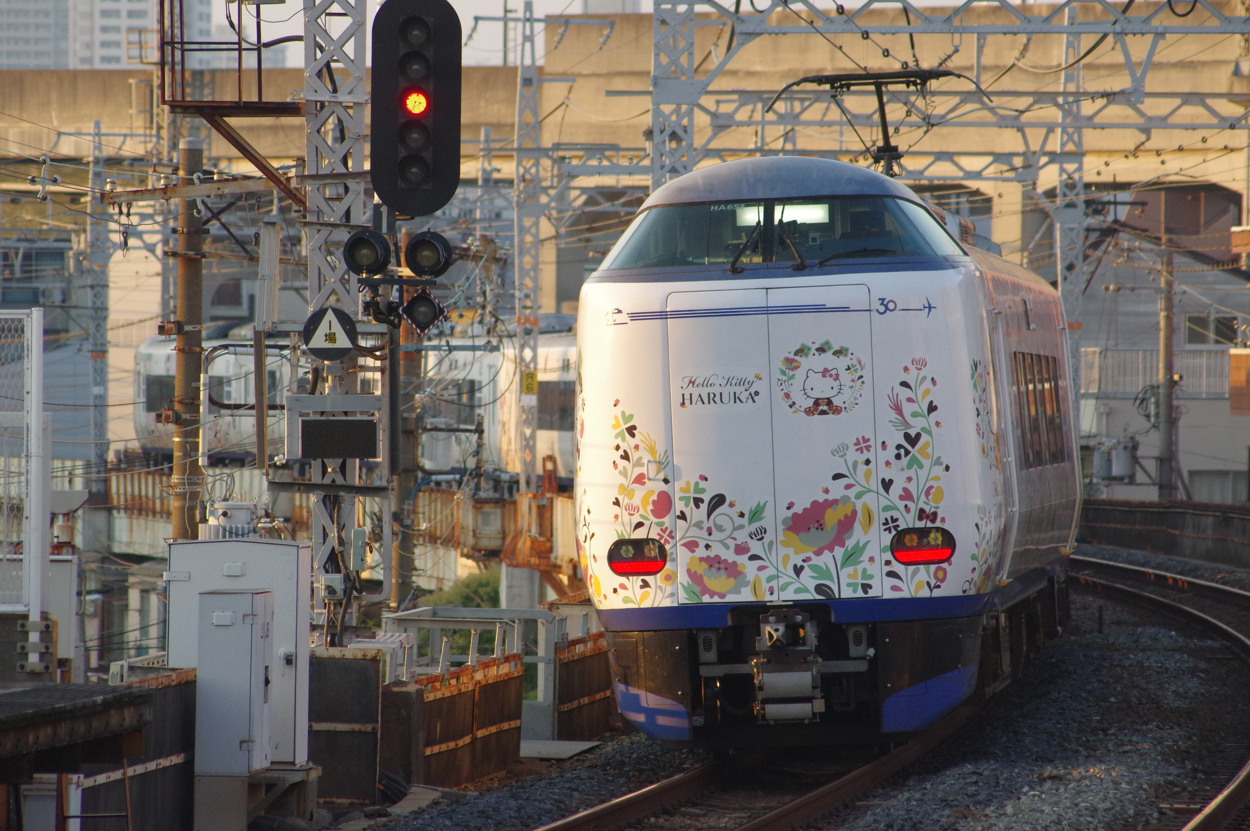 鉄帯職人　②２２５系（２２３系）　阪和線仕様 トレインボックス / 鉄帯職人 ②225系（223系） 阪和線仕様