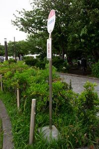 江ノ島バスポール(降車専用)