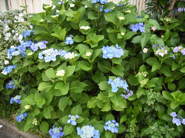 f:id:gzutetsu:20060617080959j:image
