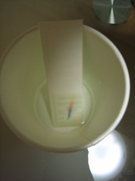 f:id:gzutetsu:20061009202104j:image
