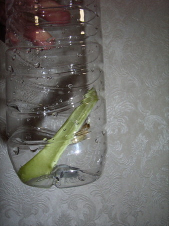 f:id:gzutetsu:20061228181950j:image