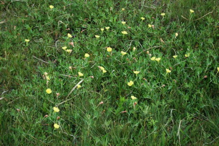 f:id:gzutetsu:20070502172121j:image