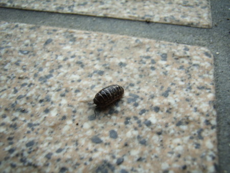 f:id:gzutetsu:20070513093314j:image f:id:gzutetsu:20070513093314j:image