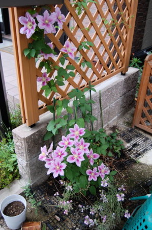 f:id:gzutetsu:20070513093917j:image f:id:gzutetsu:20070513093917j:image