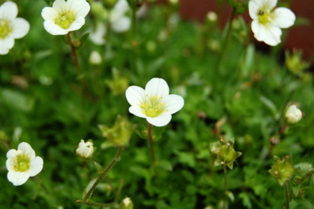 f:id:gzutetsu:20070513094952j:image f:id:gzutetsu:20070513094952j:image