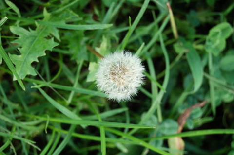 f:id:gzutetsu:20081004170311j:image