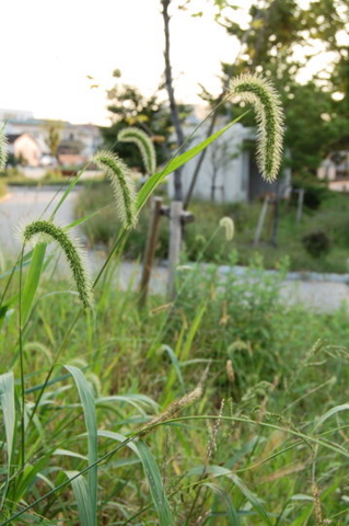 f:id:gzutetsu:20081004170643j:image