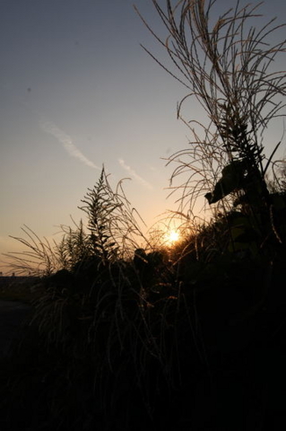 f:id:gzutetsu:20081004172331j:image
