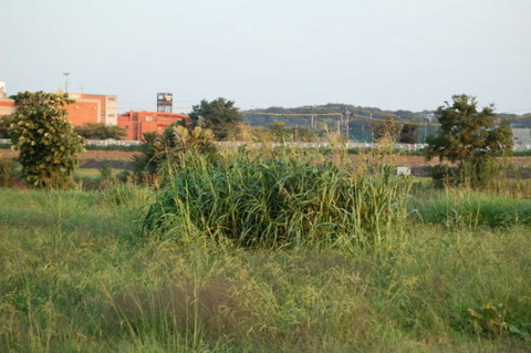 f:id:gzutetsu:20081004173135j:image