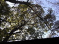 20090104143220