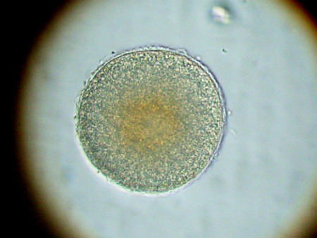 f:id:gzutetsu:20090111212853j:image