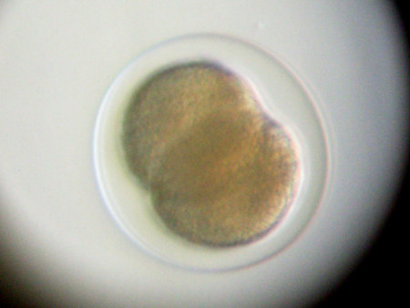 f:id:gzutetsu:20090111212855j:image