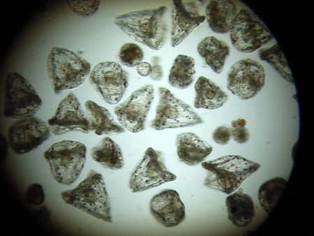 f:id:gzutetsu:20090111212902j:image