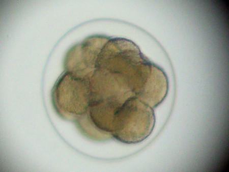 f:id:gzutetsu:20090111212903j:image