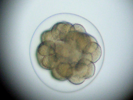 f:id:gzutetsu:20090111212904j:image