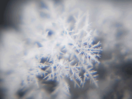 f:id:gzutetsu:20090111212910p:image f:id:gzutetsu:20090111212910p:image