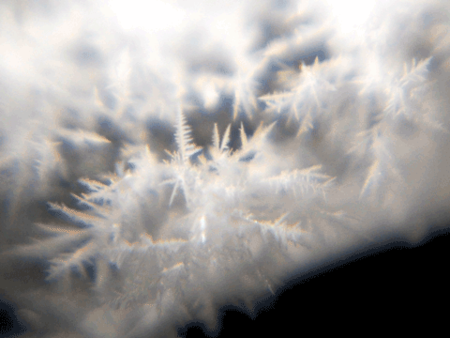 f:id:gzutetsu:20090111212911p:image f:id:gzutetsu:20090111212911p:image