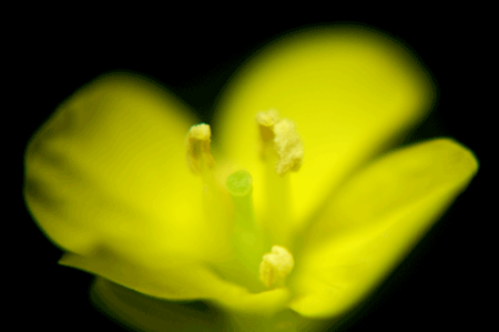 f:id:gzutetsu:20090111212914p:image