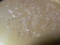20090118194630