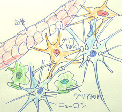 f:id:gzutetsu:20090131174819j:image