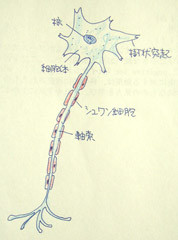 f:id:gzutetsu:20090131174820j:image