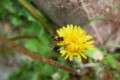 20090201212943