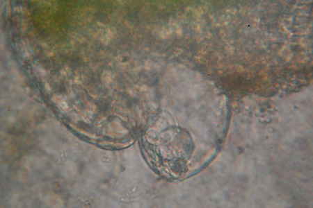 f:id:gzutetsu:20090201212953j:image