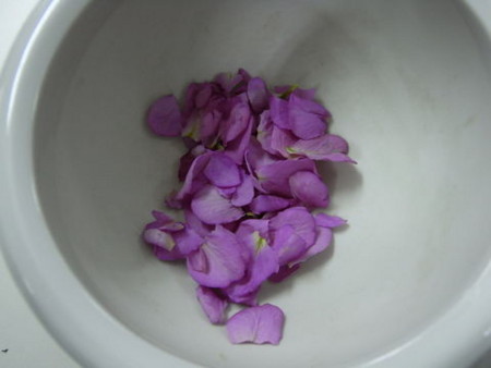 f:id:gzutetsu:20090222004615j:image