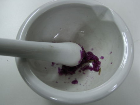 f:id:gzutetsu:20090222004616j:image