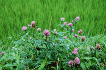 f:id:gzutetsu:20090222010039j:image f:id:gzutetsu:20090222010039j:image