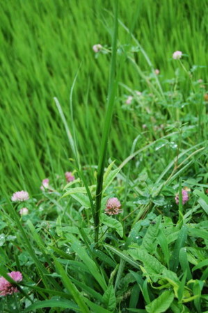 f:id:gzutetsu:20090222010040j:image f:id:gzutetsu:20090222010040j:image