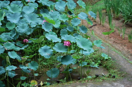 f:id:gzutetsu:20090222010043j:image f:id:gzutetsu:20090222010043j:image