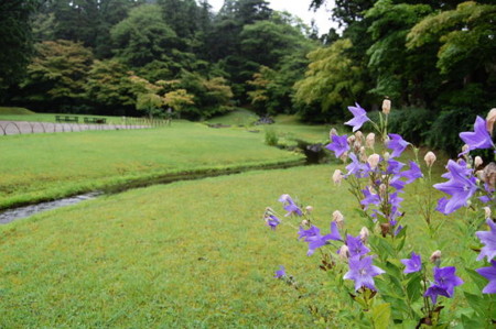 f:id:gzutetsu:20090222010047j:image f:id:gzutetsu:20090222010047j:image