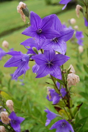f:id:gzutetsu:20090222010048j:image f:id:gzutetsu:20090222010048j:image